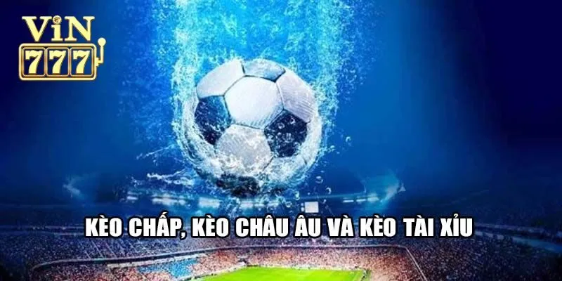 Tổng quan về các loại cá cược bóng đá