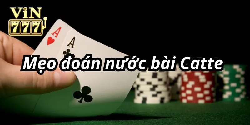 Cách chơi bài catte từ chuyên gia giúp thắng lớn