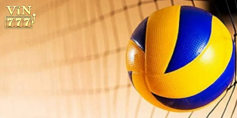 Cá cược bóng chuyền Vin777 là gì?