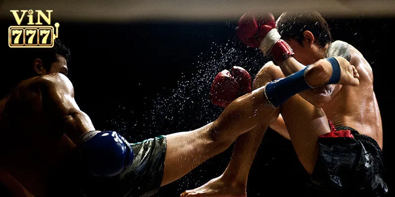 Những hình thức cược quyền anh tại Vin777
