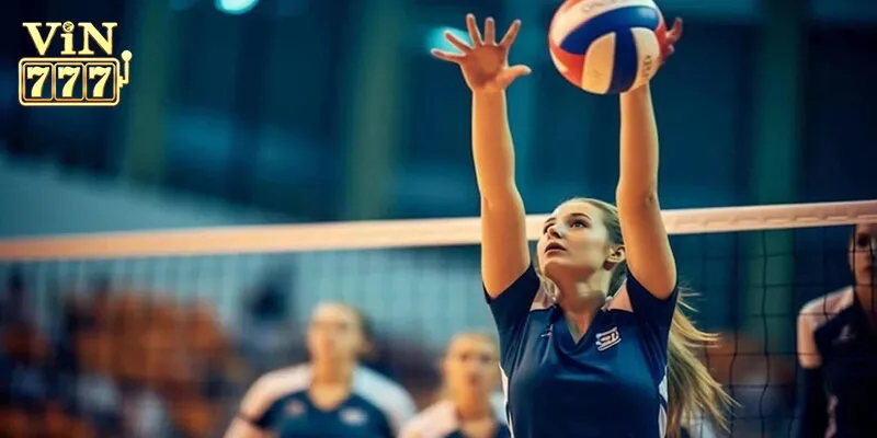 Kinh nghiệm cá cược bóng chuyền Vin777 hiệu quả