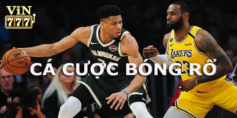 Thế nào là cá cược bóng rổ?