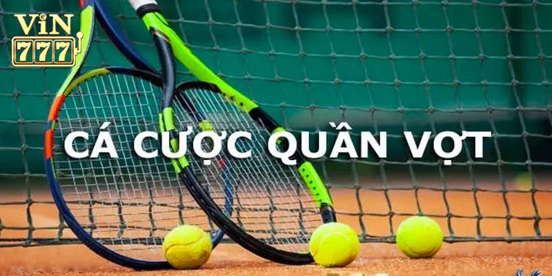 Cá cược quần vợt Vin777 là gì?
